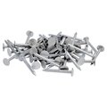 Orgill Bulk Nails Roofing Nail, 1 in L, 2D 69052